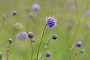 BUITEN BEELD Foto: 301580