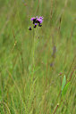 BUITEN BEELD Foto: 301587