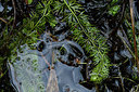 BUITEN BEELD Foto: 301615