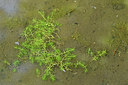 BUITEN BEELD Foto: 301619