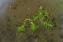 BUITEN BEELD Foto: 301622