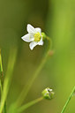 BUITEN BEELD Foto: 301624