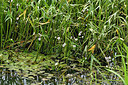 BUITEN BEELD Foto: 301643