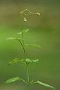 BUITEN BEELD Foto: 301679
