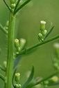 BUITEN BEELD Foto: 301694