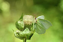 BUITEN BEELD Foto: 301738
