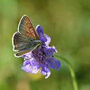 BUITEN BEELD Foto: 301797