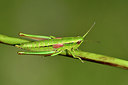 BUITEN BEELD Foto: 301820