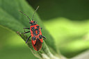 BUITEN BEELD Foto: 301916