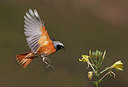 BUITEN BEELD Foto: 301933