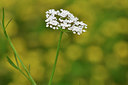 BUITEN BEELD Foto: 301937