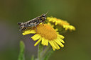 BUITEN BEELD Foto: 302048