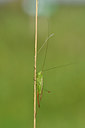BUITEN BEELD Foto: 302055