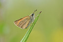 BUITEN BEELD Foto: 302059