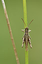 BUITEN BEELD Foto: 302062
