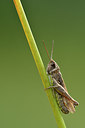 BUITEN BEELD Foto: 302063