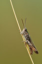 BUITEN BEELD Foto: 302064