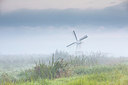 BUITEN BEELD Foto: 302074