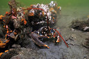BUITEN BEELD Foto: 302089