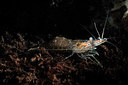 BUITEN BEELD Foto: 302109