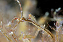 BUITEN BEELD Foto: 302113