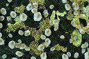 BUITEN BEELD Foto: 302123