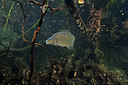 BUITEN BEELD Foto: 302160