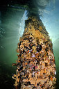 BUITEN BEELD Foto: 302233