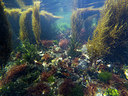 BUITEN BEELD Foto: 302234