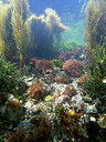 BUITEN BEELD Foto: 302235
