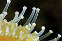 BUITEN BEELD Foto: 302245