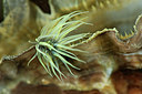 BUITEN BEELD Foto: 302259