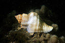 BUITEN BEELD Foto: 302272
