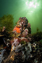 BUITEN BEELD Foto: 302287