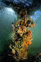 BUITEN BEELD Foto: 302303