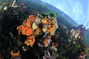 BUITEN BEELD Foto: 302306