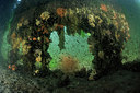 BUITEN BEELD Foto: 302307