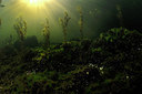 BUITEN BEELD Foto: 302338