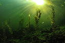BUITEN BEELD Foto: 302339