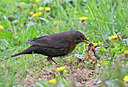 BUITEN BEELD Foto: 302393