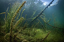 BUITEN BEELD Foto: 302395