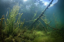 BUITEN BEELD Foto: 302396