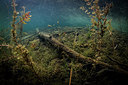 BUITEN BEELD Foto: 302398