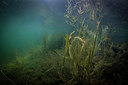 BUITEN BEELD Foto: 302399