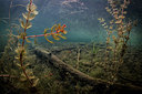 BUITEN BEELD Foto: 302400