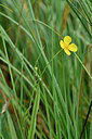 BUITEN BEELD Foto: 302438