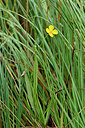 BUITEN BEELD Foto: 302440
