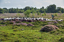 BUITEN BEELD Foto: 302452