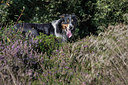 BUITEN BEELD Foto: 302453