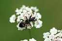 BUITEN BEELD Foto: 302491